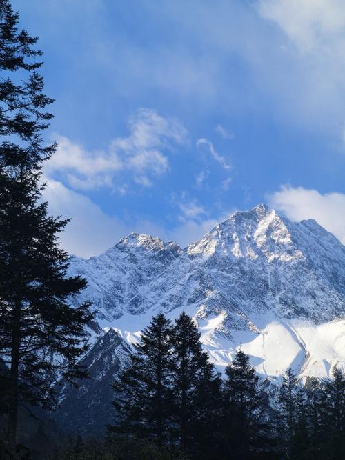 d段ip不一样站群