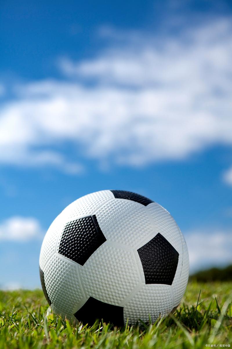 黑豹站群有什么用